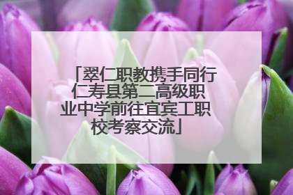 翠仁职教携手同行 仁寿县第二高级职业中学前往宜宾工职校考察交流