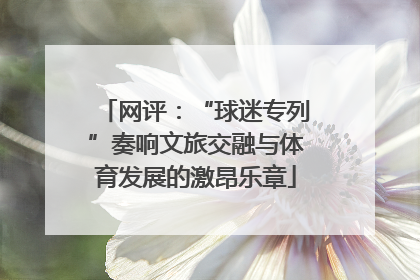 网评：“球迷专列”奏响文旅交融与体育发展的激昂乐章
