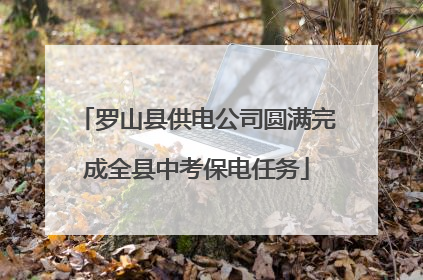 罗山县供电公司圆满完成全县中考保电任务