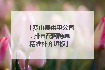 罗山县供电公司：排查配网隐患 精准补齐短板