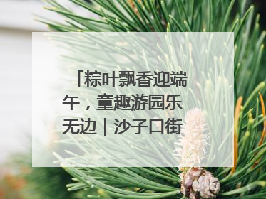 粽叶飘香迎端午，童趣游园乐无边｜沙子口街道儿童端午游园活动圆满落幕