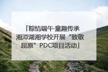 粽情端午·童趣传承 湘潭湖湘学校开展“致敬屈原”PDC项目活动