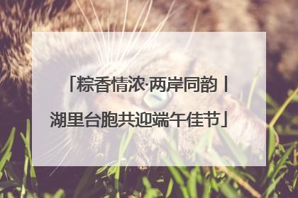 粽香情浓·两岸同韵丨湖里台胞共迎端午佳节