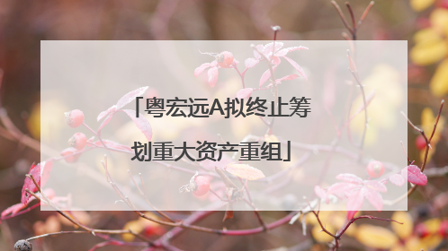 粤宏远A拟终止筹划重大资产重组