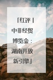 红评丨中非经贸博览会：湖南开放新引擎