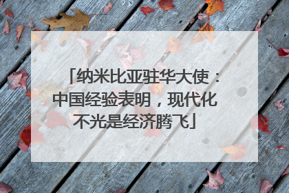 纳米比亚驻华大使：中国经验表明，现代化不光是经济腾飞