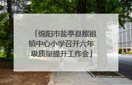 绵阳市盐亭县嫘祖镇中心小学召开六年级质量提升工作会
