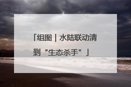 组图｜水陆联动清剿“生态杀手”