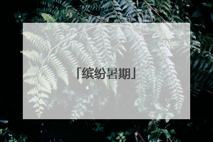 缤纷暑期