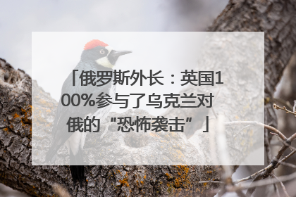 俄罗斯外长：英国100%参与了乌克兰对俄的“恐怖袭击”