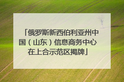 俄罗斯新西伯利亚州中国（山东）信息商务中心在上合示范区揭牌
