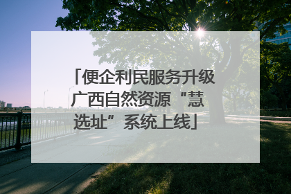 便企利民服务升级 广西自然资源“慧选址”系统上线
