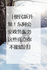 便民新升级！东阿公安政务服务这些亮点你不能错过