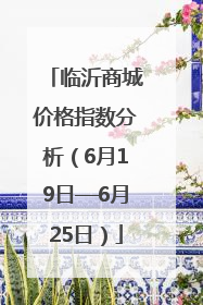 临沂商城价格指数分析（6月19日—6月25日）