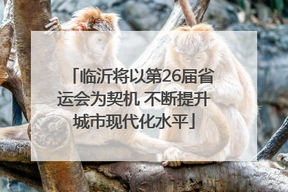 临沂将以第26届省运会为契机 不断提升城市现代化水平