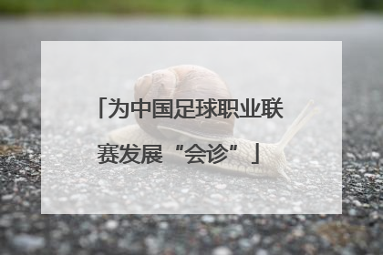 为中国足球职业联赛发展“会诊”
