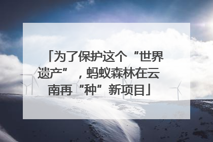 为了保护这个“世界遗产”，蚂蚁森林在云南再“种”新项目