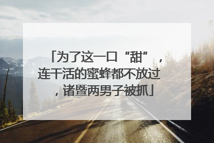为了这一口“甜”，连干活的蜜蜂都不放过，诸暨两男子被抓