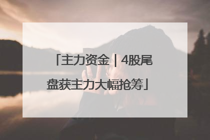 主力资金｜4股尾盘获主力大幅抢筹