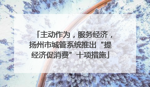 主动作为，服务经济，扬州市城管系统推出“提经济促消费”十项措施