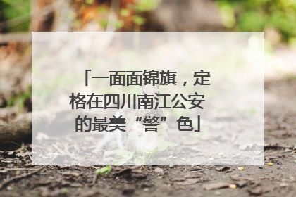 一面面锦旗，定格在四川南江公安的最美“警”色