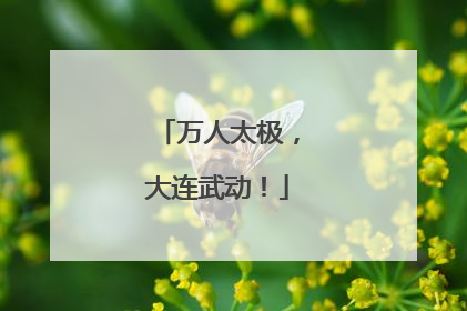 万人太极，大连武动！