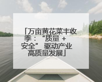 万亩黄花菜丰收季：“质量 + 安全” 驱动产业高质量发展