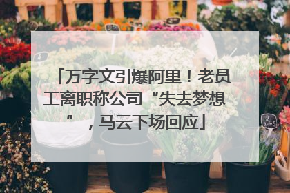 万字文引爆阿里！老员工离职称公司“失去梦想”，马云下场回应