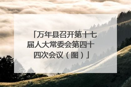 万年县召开第十七届人大常委会第四十四次会议（图）