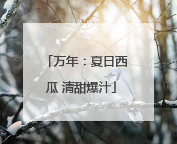 万年：夏日西瓜 清甜爆汁