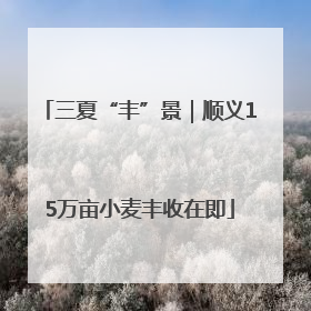 三夏“丰”景｜顺义15万亩小麦丰收在即