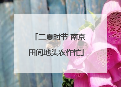 三夏时节 南京田间地头农作忙