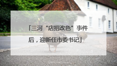 三河“店招改色”事件后，迎新任市委书记