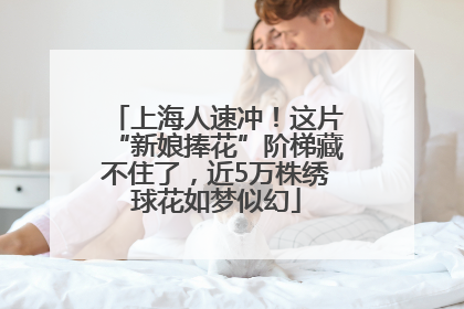 上海人速冲！这片“新娘捧花”阶梯藏不住了，近5万株绣球花如梦似幻