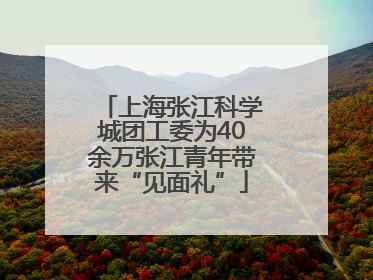 上海张江科学城团工委为40余万张江青年带来“见面礼”