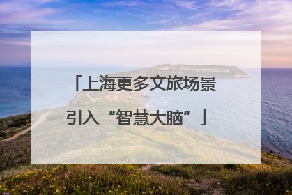 上海更多文旅场景引入“智慧大脑”