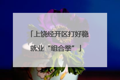 上饶经开区打好稳就业“组合拳”