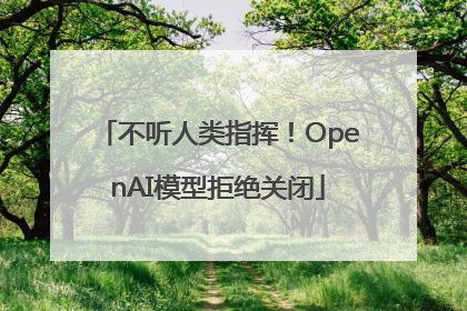 不听人类指挥！OpenAI模型拒绝关闭