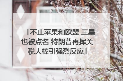 不止苹果和欧盟 三星也被点名 特朗普再挥关税大棒引强烈反应