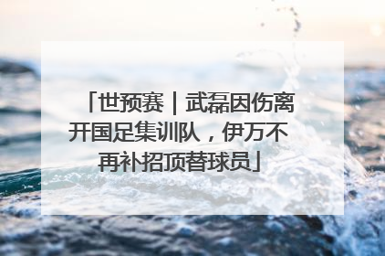 世预赛｜武磊因伤离开国足集训队，伊万不再补招顶替球员