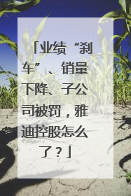 业绩“刹车”、销量下降、子公司被罚，雅迪控股怎么了？