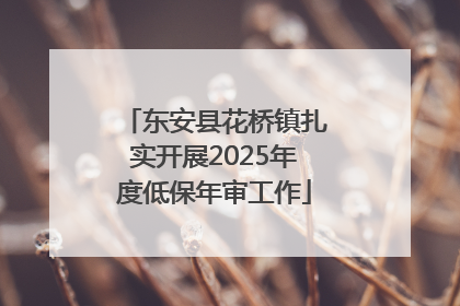 东安县花桥镇扎实开展2025年度低保年审工作