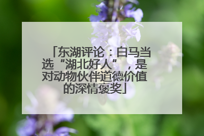 东湖评论：白马当选“湖北好人”，是对动物伙伴道德价值的深情褒奖
