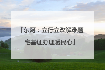 东阿：立行立改解难题 宅基证办理暖民心