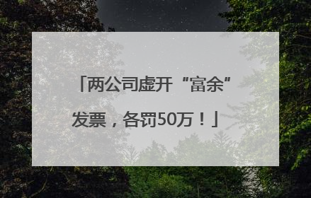 两公司虚开“富余”发票，各罚50万！