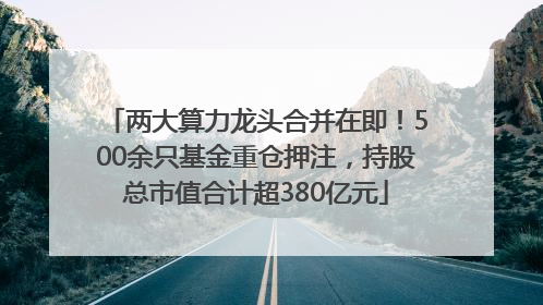 两大算力龙头合并在即！500余只基金重仓押注，持股总市值合计超380亿元