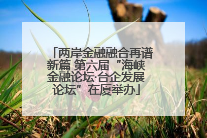 两岸金融融合再谱新篇 第六届“海峡金融论坛·台企发展论坛”在厦举办