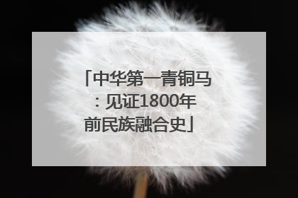 中华第一青铜马：见证1800年前民族融合史