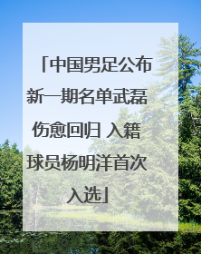 中国男足公布新一期名单武磊伤愈回归 入籍球员杨明洋首次入选