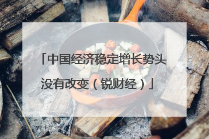 中国经济稳定增长势头没有改变（锐财经）